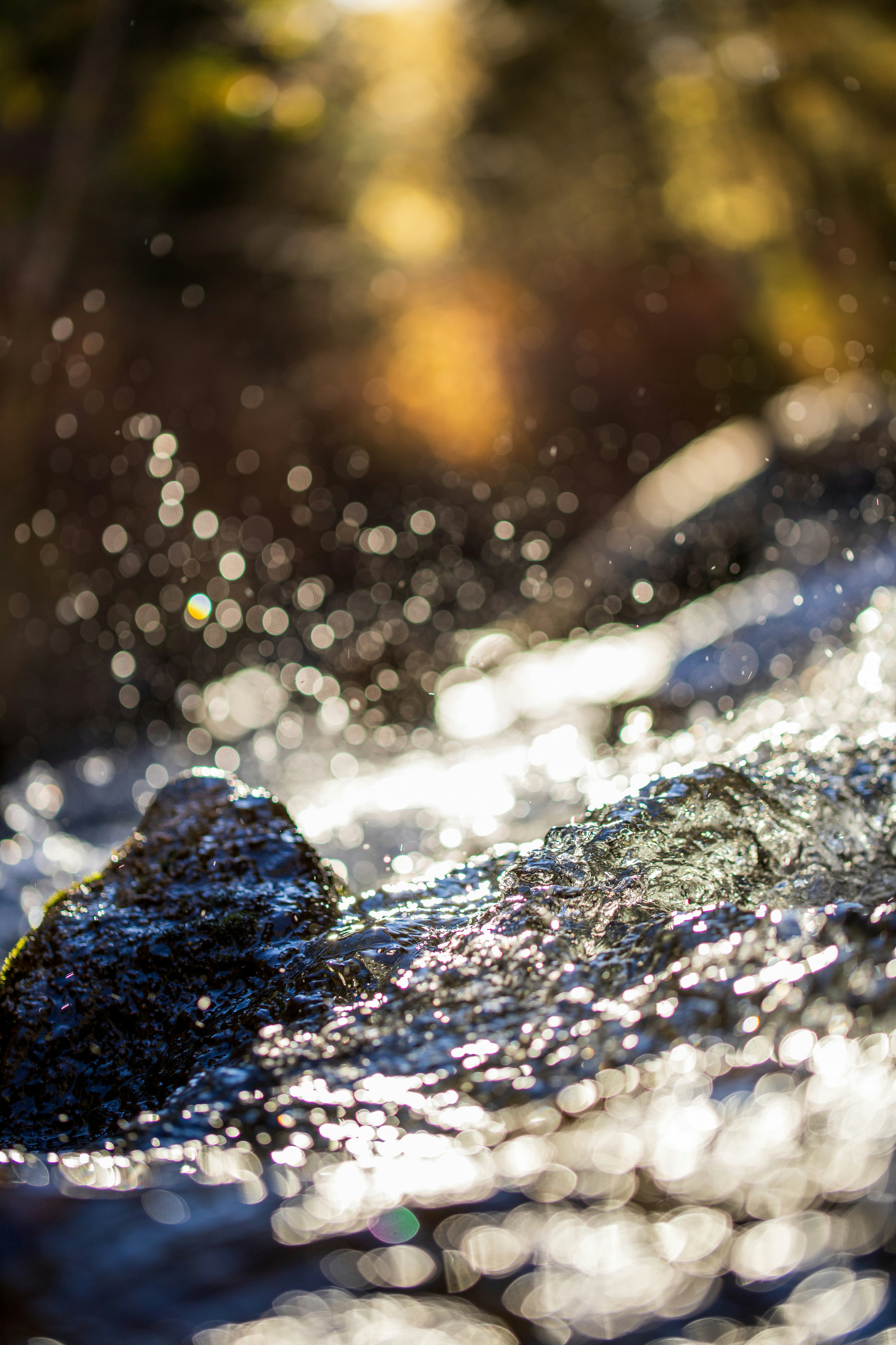 water splash in close up photography